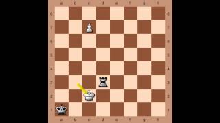 Chess Endgames Saavedra position [upl. by Celtic]