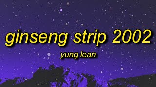 Yung Lean  Ginseng Strip 2002 Lyrics quotbitches come and go brahquot TikTok Song [upl. by Atinel27]