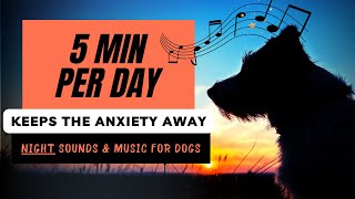 Desensitization Dog Music  Lower Your Dogs Anxiety with NIGHT SOUNDS [upl. by Ronnholm]