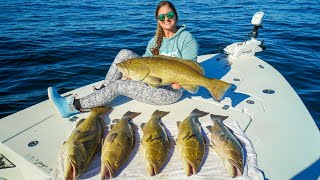 EASY BIG Grouper LIMITS Catch Clean amp Cook Crystal River Florida [upl. by Erdnaek]