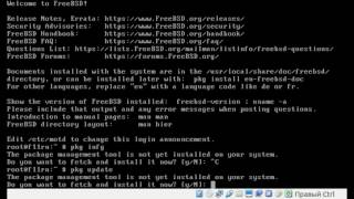 Proftpd  SSL FreeBSD 110RELEASE [upl. by Edgardo273]