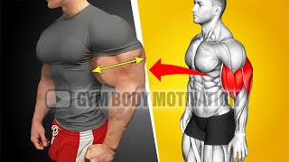 Worlds Best Biceps and Triceps Workout For Bigger Arms [upl. by Tutto]