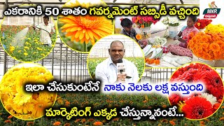 Gerbera Flowers Cultivation  50 GOVT సబ్సిడీ నెలకు 1 లక్ష ఆదాయం  Farmer Tips  MNR Annadatha [upl. by Yesdnik]