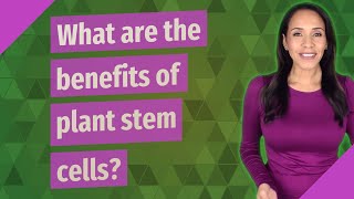 What are the benefits of plant stem cells [upl. by Novihs]