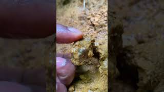 Unbelievable CRYSTAL Discovery 🤑🤩 gems diamond crystals gold rockhounding satisfying [upl. by Aicilyt]