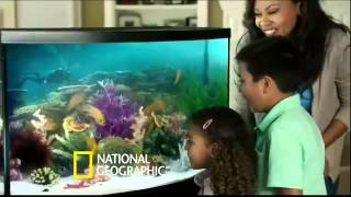 Petsmart National Geographic Commercial 2014 [upl. by Lletnuahs]