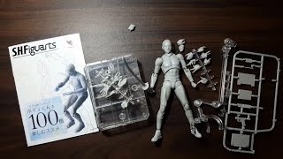 DX SET BODY KUN Gray Color Version SHFiguarts Unboxing [upl. by Aitital]