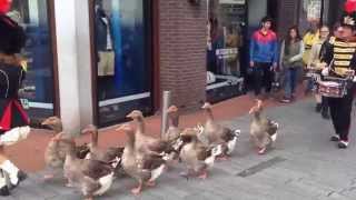 Marching geese De Ganzenfanfare [upl. by Cia]