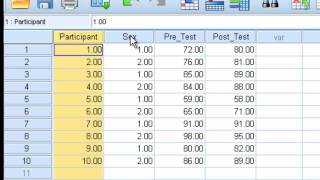 Paired Sample ttest [upl. by Gerrit]