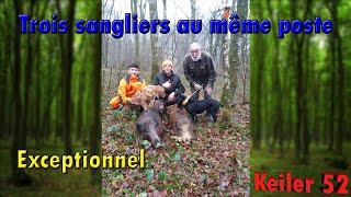 Trois Sangliers au même poste Haute Marne  Battue au bois  2019 l [upl. by Virnelli380]