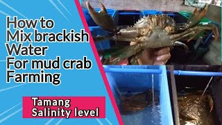 HOW TO MIX BRACKISH WATER FOR MUD CRAB FARMING [upl. by Youngman]