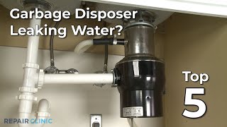 Top Reasons Garbage Disposer Leaking Water — Garbage Disposer Troubleshooting [upl. by Egidius577]