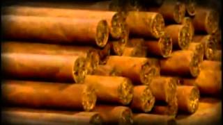 Historia de Exito Tabacos de Oriente Puro de Calidad Mundial360p H 264 AAC [upl. by Jeu405]