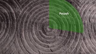 Nutrien What Is Potash [upl. by Anelram]