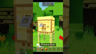 bee fram in Minecraft minecraft minecrafmemes minecraftmovie [upl. by Yekciv]