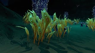 Subnauticas Unscannable Life Forms [upl. by Adnimra]