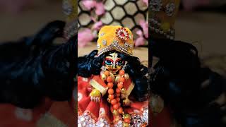 khib sajyo sargan  jaysreekrishna radheradhe laddu [upl. by Ashil]