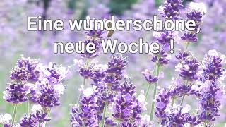 Eine wunderschöne neue Woche [upl. by Jamaal]