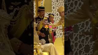 Brunei Royal wedding😍 bruneiroyalwedding dayanganisha shots [upl. by Nebeur]