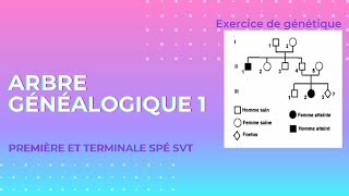 Exercice génétique 🧬  arbre généalogique 1 [upl. by Naor]