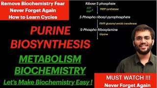 Purine Synthesis  Biochemistry  Purine Metabolism Video [upl. by Rednaeel278]