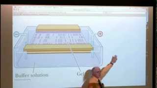 8 BB 350 Protein Purification II  Enzymes I  Kevin Aherns Biochemistry Online [upl. by Herta279]