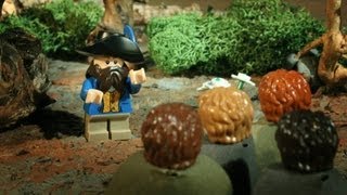 LEGO Tom Bombadil Why was he cut [upl. by Frayne]