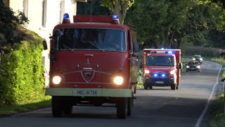 Werkfeuerwehr im Einsatz Waldbrand in MelleOberholsten Ratsübung der FF MelleNiederholsten [upl. by Polk]