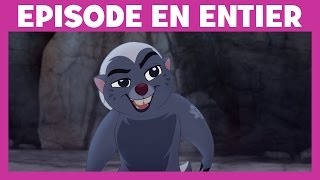 Moment Magique Disney Junior  La Garde du Roi Lion  Immunisé [upl. by Otrebmuh]