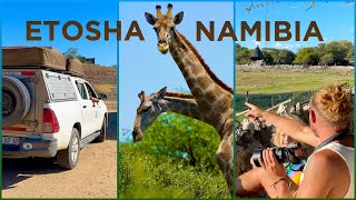 BEST SAFARI of NAMIBIA we spotted ALL the animals in ETOSHA [upl. by Aikenat]