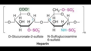 Heparin blood anticoagulant Blood Thinner made from Dog Liver [upl. by Ryhpez365]