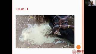 Acidosis in Ruminants [upl. by Ayam]