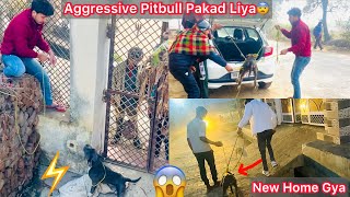 Finally Aggressive Pitbull Adopt Hogya🐶Halat Kharab Hogye Pakdne Mai😨 [upl. by Wolfgram371]