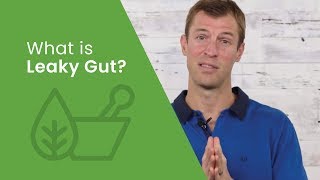 What is Leaky Gut  Dr Josh Axe [upl. by Leerzej]