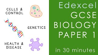 All of Edexcel BIOLOGY Paper 1 in 30 minutes  GCSE Science Revision [upl. by Noeled845]