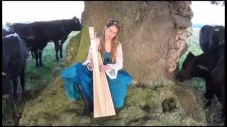 Hands on Harps Concert to Cows [upl. by Inilam]