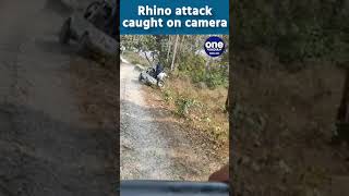 Rhino attack caught onlookers by surprise Watch  Oneindia News [upl. by Inal897]