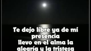 TE DEJO LIBRE PEDRO ARROYO LETRA [upl. by Cinnamon605]