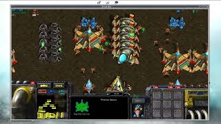 StarCraft 3v3 ZC NRMM1 High Pro Game ZCX ZCTOUR ZCT ZCL [upl. by Sheila]