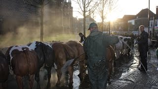 Paasvee  tentoonstelling in Schagen 2016 [upl. by Roshan]