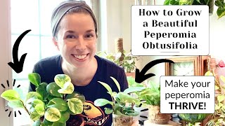 Peperomia Obtusifolia Care  NEEDTOKNOW Tips 🪴⭐️ [upl. by Sheffy]