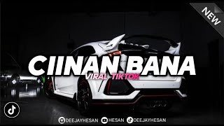 DJ CIINAN BANA  FAUZANA SLOW REMIX MINANG VIRAL TIKTOK TERBARU [upl. by Notkcorb874]