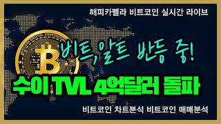 비트코인 실시간 수이 TVL 6억달러 돌파 비트알트 반등 중 129 점심💎 비트코인 비트코인실시간 이더리움 리플 cryptocurrency 차트분석 [upl. by Lita]