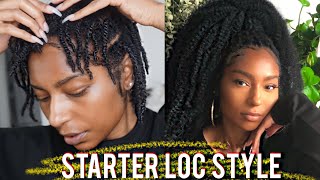 How to Sleek Ponytail with Kanekalon Starter Locs Style  iamLindaElaine [upl. by Eudora610]