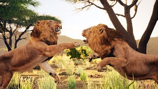 Elder Lion Fights for Survival  Animalia Survival [upl. by Erlina]