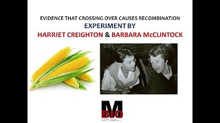 EXPERIMENT BY CREIGHTON AND McCLINTOCK [upl. by Sirama]