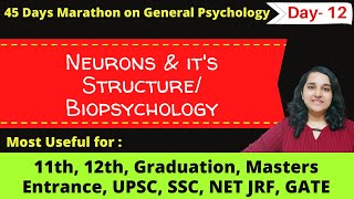 Neurons amp Its Structure Biopsychology General Psychology Mind Review [upl. by Talbott]