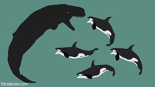 Livyatan VS Orca Pod [upl. by Nire]