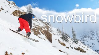 This Place is Absolutely Insane for Snowboarding [upl. by Bohs]