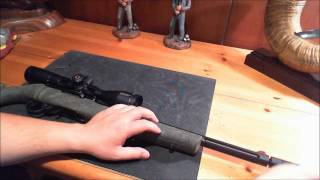 Tactical Ruger 1022 build [upl. by Pressey278]